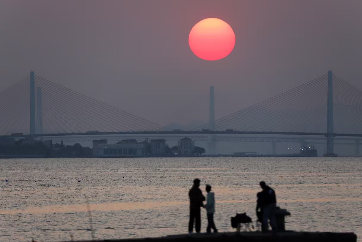 汕頭海灣春日紅