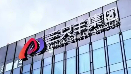 合肥市聯合調查組：三隻羊公司整改符合要求 具備恢復經營條件