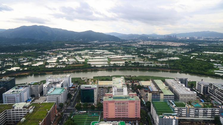 【港商時評】制度創新 河套突破