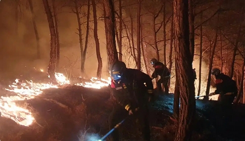 韓國山火持續 多地被指定為「特別災難地區」