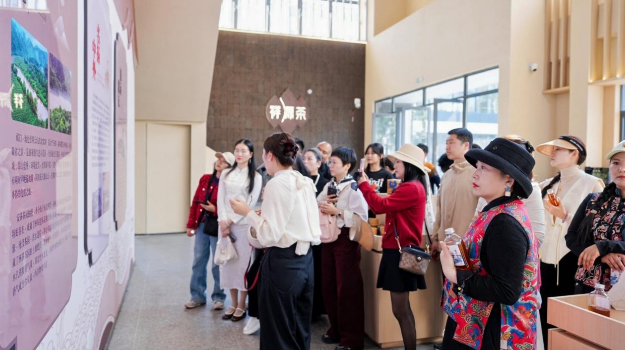 全國40城茶商祁門「問茶」