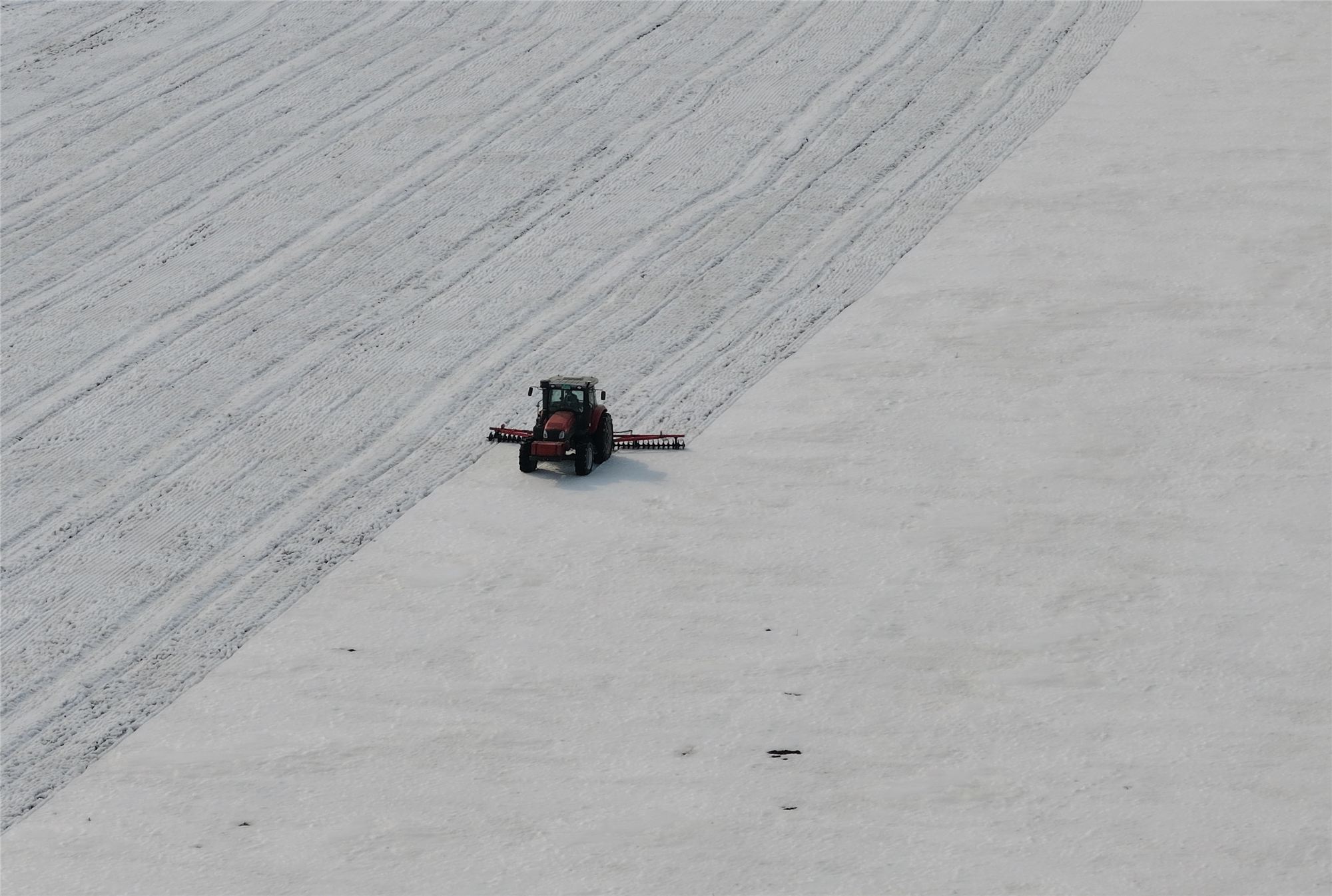 北大荒江濱分公司：耙雪促融搶農時 保墒增溫促增收