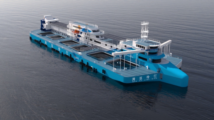 「灣區伶仃」號船底養魚船上觀光 全球首創移動「深海糧倉」