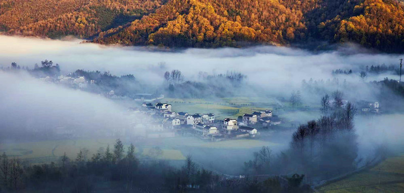 風景照成柯村「招貼畫」——一個土菜館老闆鏡頭裏的鄉愁與眷戀