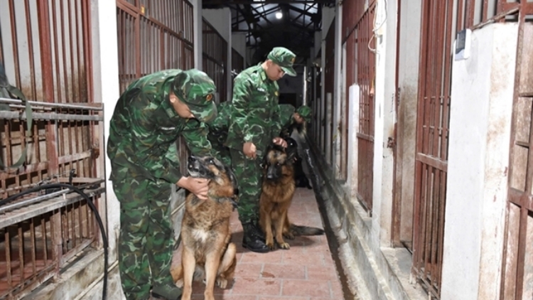緬甸救援丨越南軍隊準備進入緬甸救災