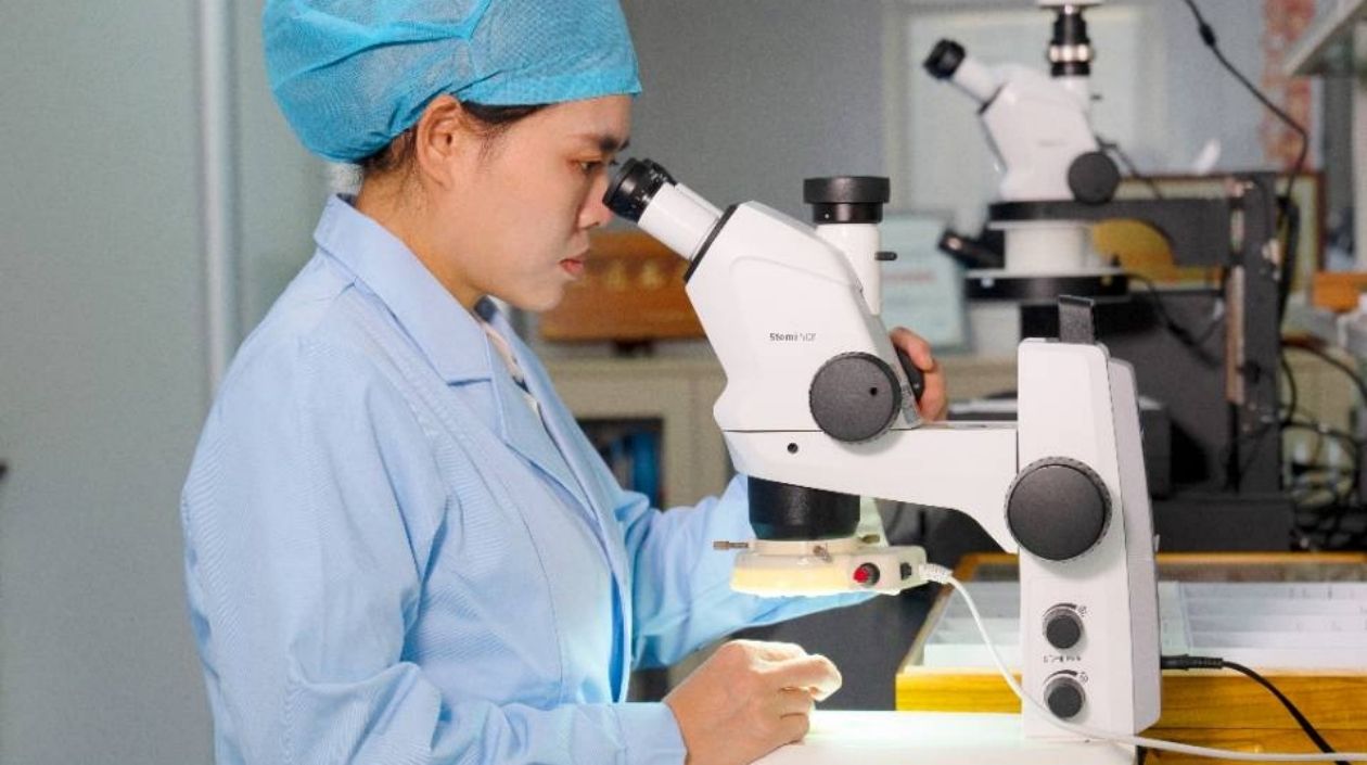 中山海關技術中心鑑定、發現並命名3個蜚蠊新物種