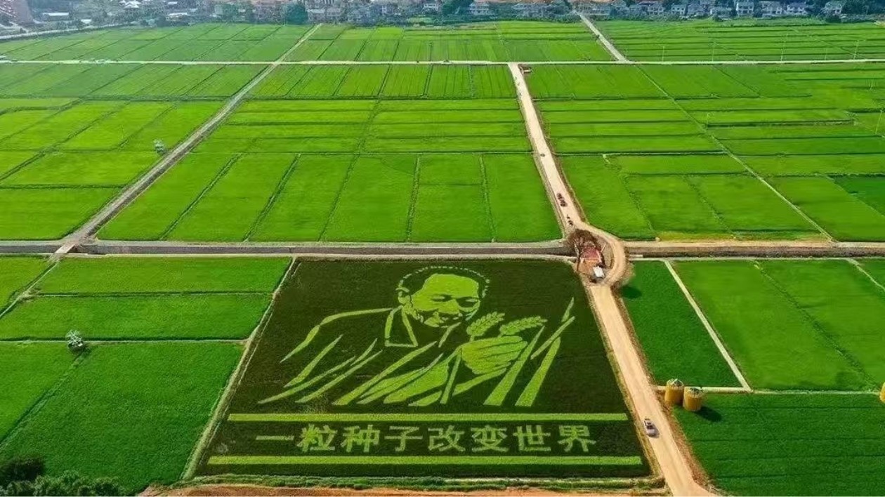 2025懷化安江半程馬拉松即將開啟