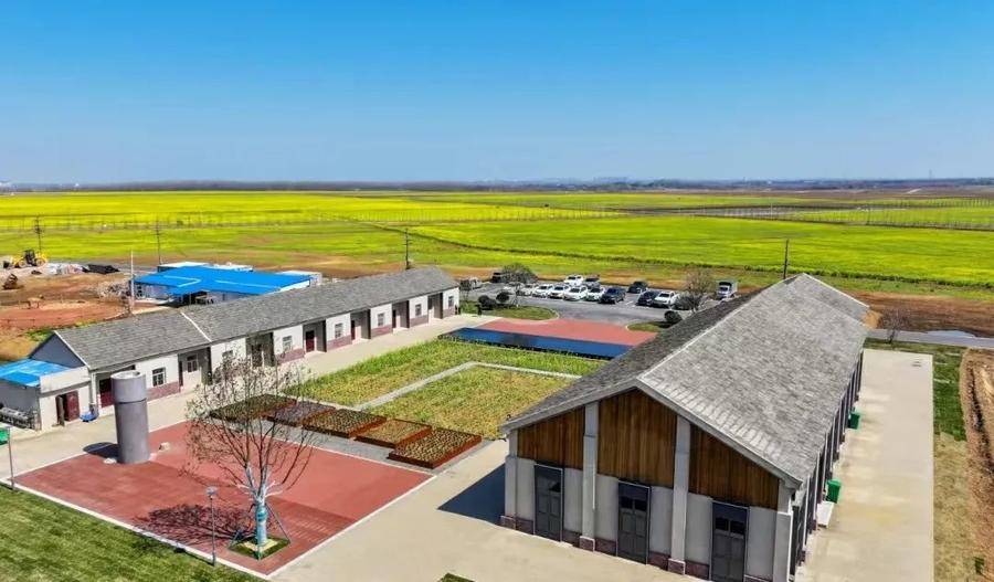 合肥蜀山：智慧平台「種」進農田