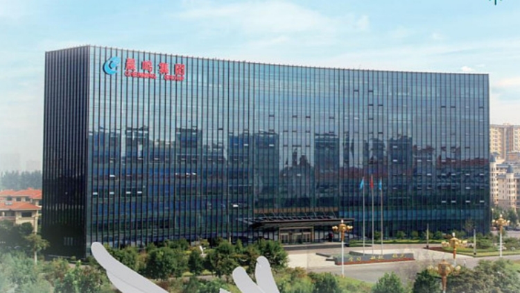 山東晨鳴紙業集團股份有限公司 第十屆監事會第十二次會議決議公告