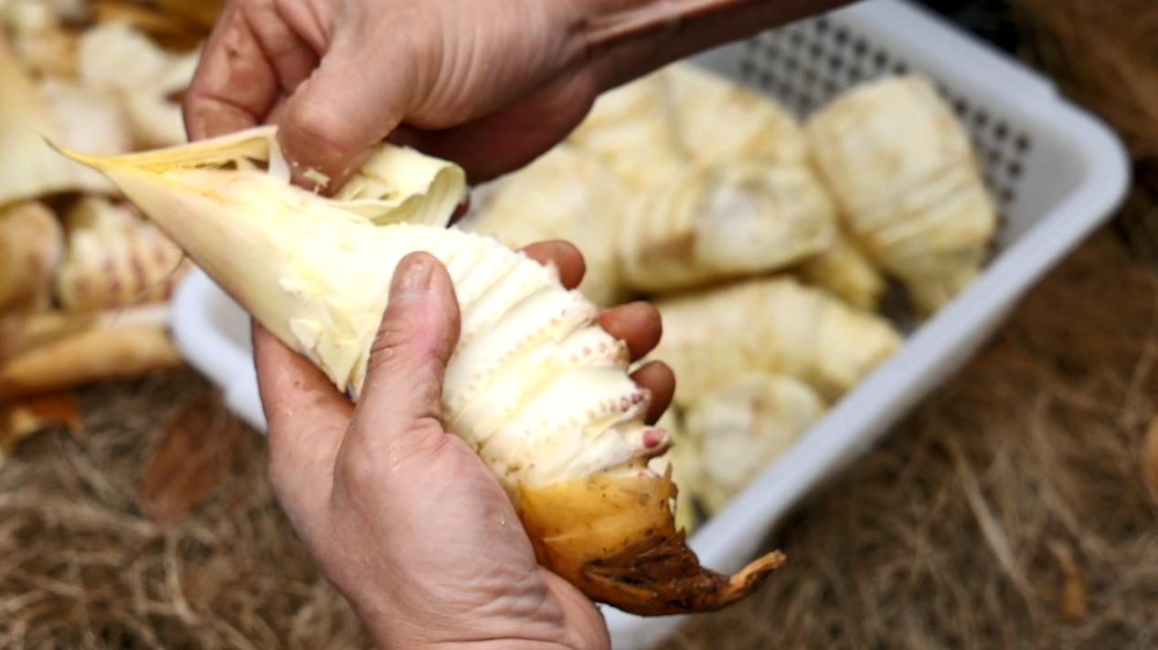 皖徽州區：一桌春筍宴  春天在舌尖