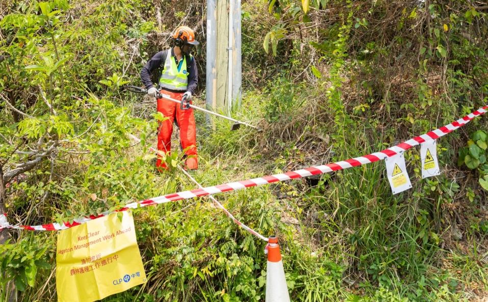 山火季節臨近 中電加強防備