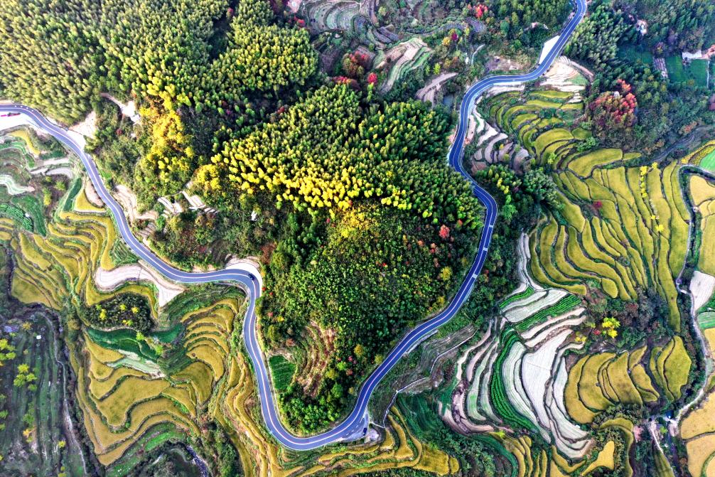 豐富供給優體驗 皖徽州區「清明遊」升溫