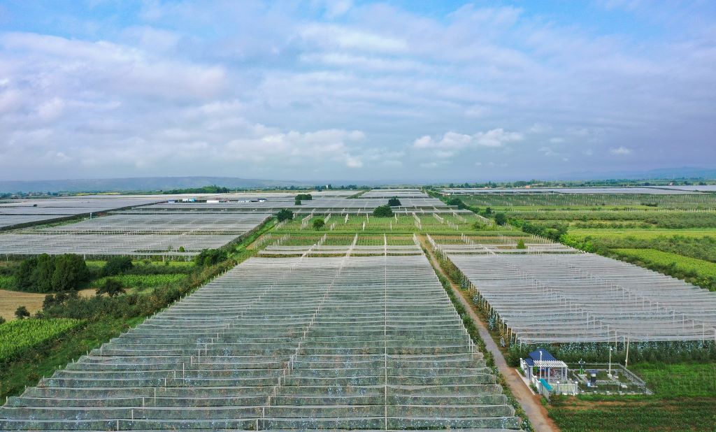 陝西白水：科技賦能 引領蘋果產業高質量發展