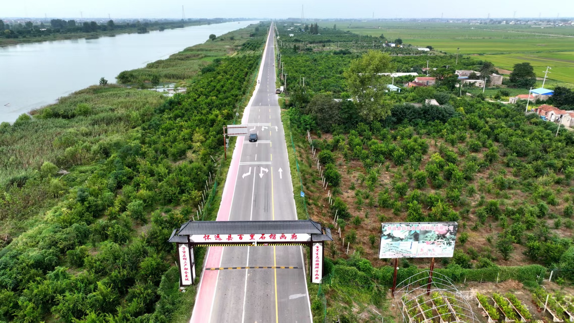 安徽懷遠縣：農村公路與石榴產業深度融合 打造甜蜜產業鏈