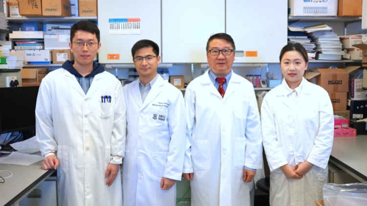 港大醫學院全球首創光敏混合型免疫療法 取得癌症治療突破