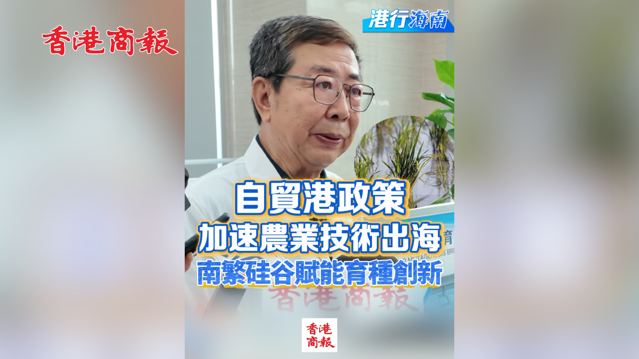 有片丨【港行海南】自貿港政策加速農業技術出海 南繁硅谷賦能育種創新