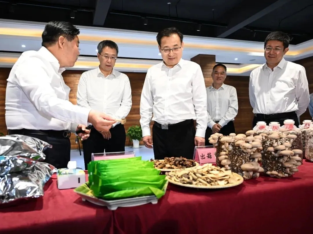 安徽省委書記梁言順在蕪湖市調研