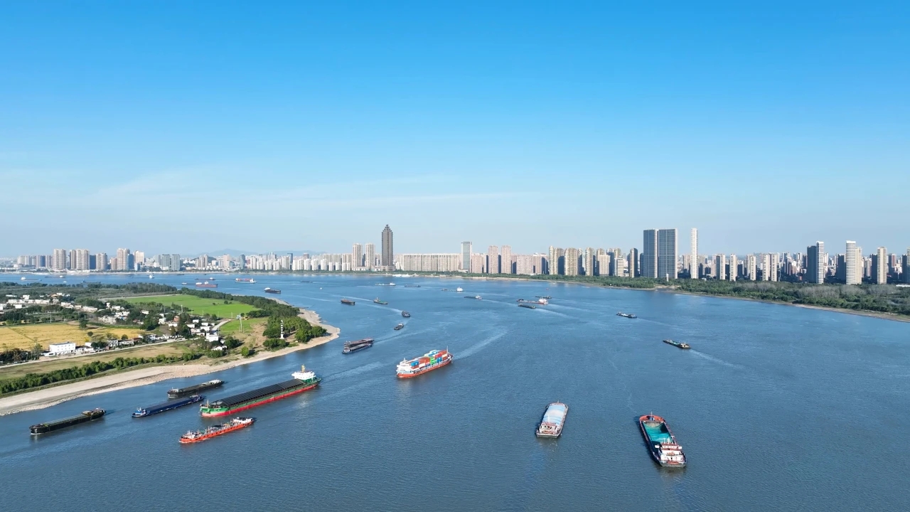 在新質生產力賽道上，蕪湖何以加速奔跑？