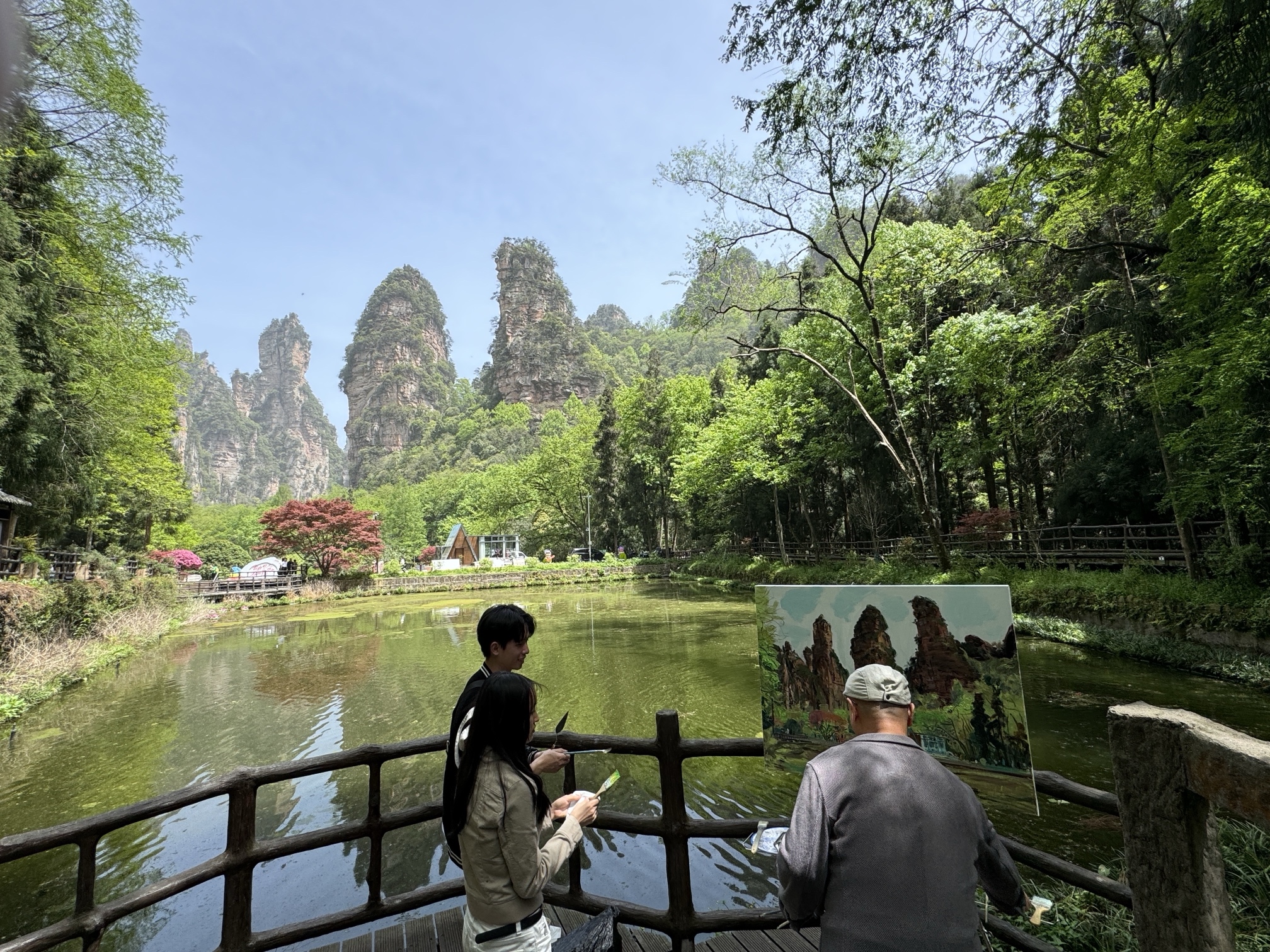 全國知名藝術家採風團寫生張家界國家森林公園