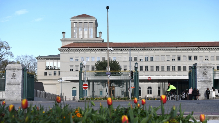 世貿組織：美關稅政策致全球貿易前景嚴重惡化