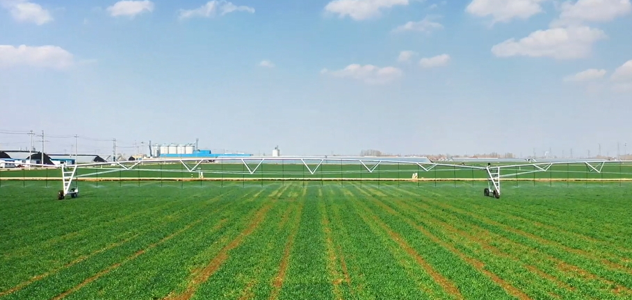 山東廣饒：高標準農田節水灌溉忙