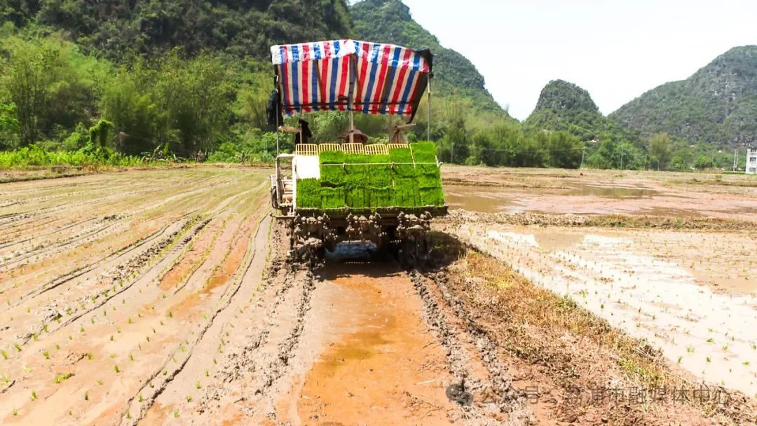 廣西全力抗旱保春耕 多措並舉穩糧食生產