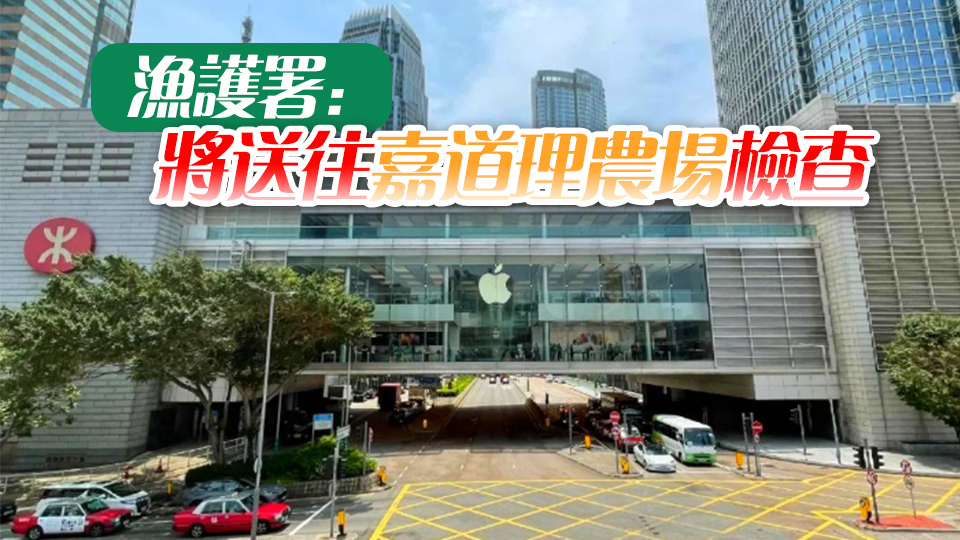 果子狸闖入中環IFC商場 消防到場處理