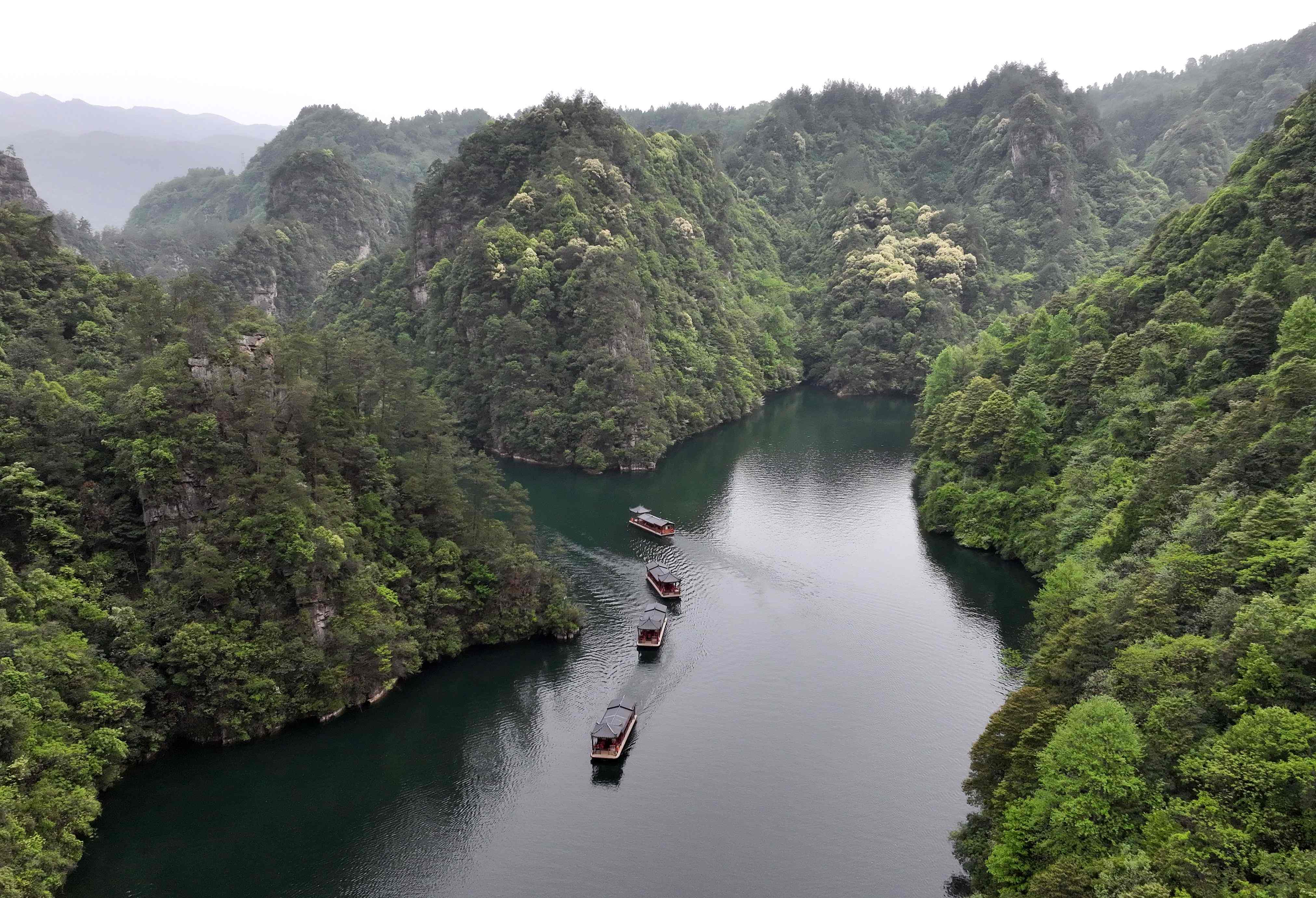 張家界寶峰湖 春意盎然旅遊升溫