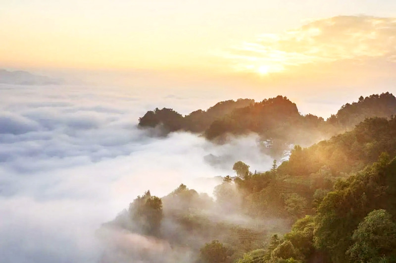 皖休寧齊雲山：文「雕」旅「刻」 欣欣向「融」