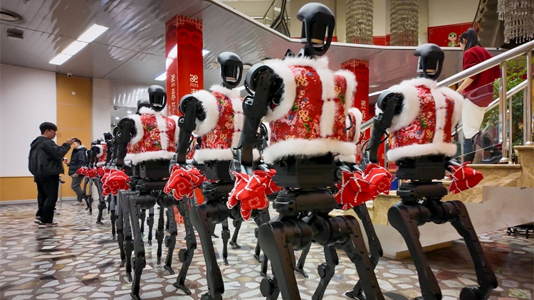 王興興回應宇樹機器人春晚癱倒：誤按急停按鈕