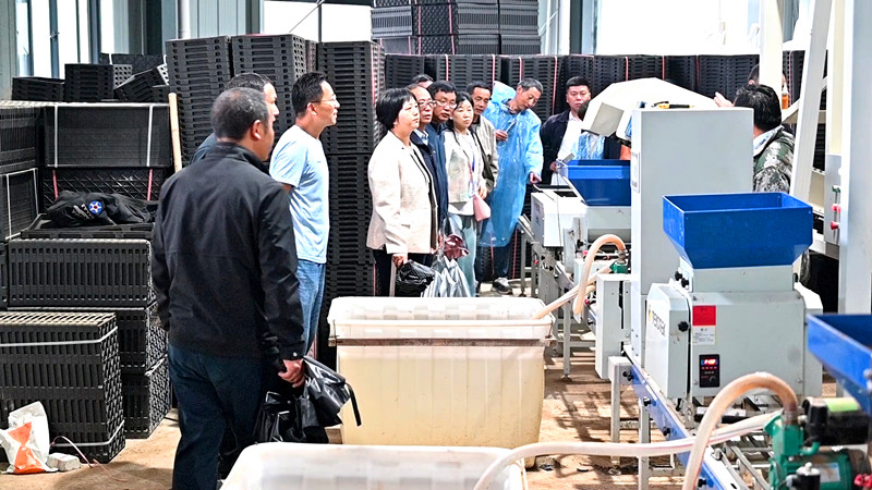 皖祁門縣舉辦水稻全程機械化育插秧現場會