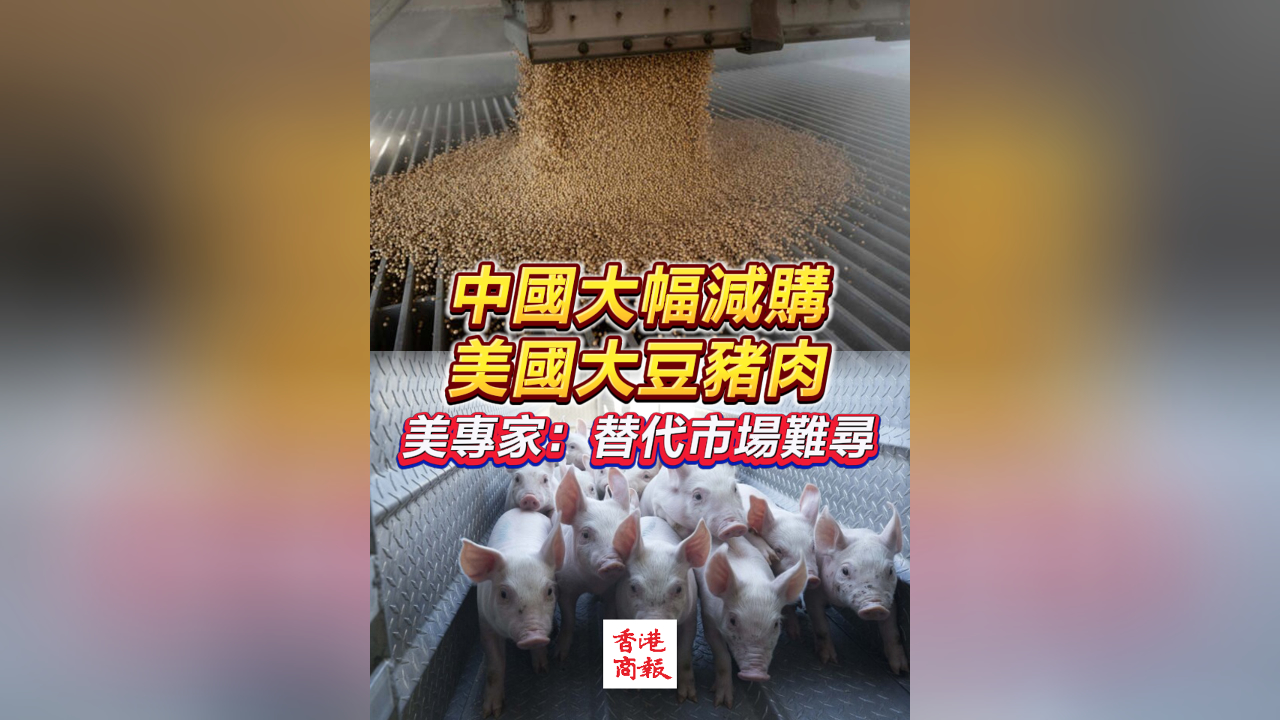 有片丨中國大幅減購美國大豆豬肉 美專家：替代市場難尋
