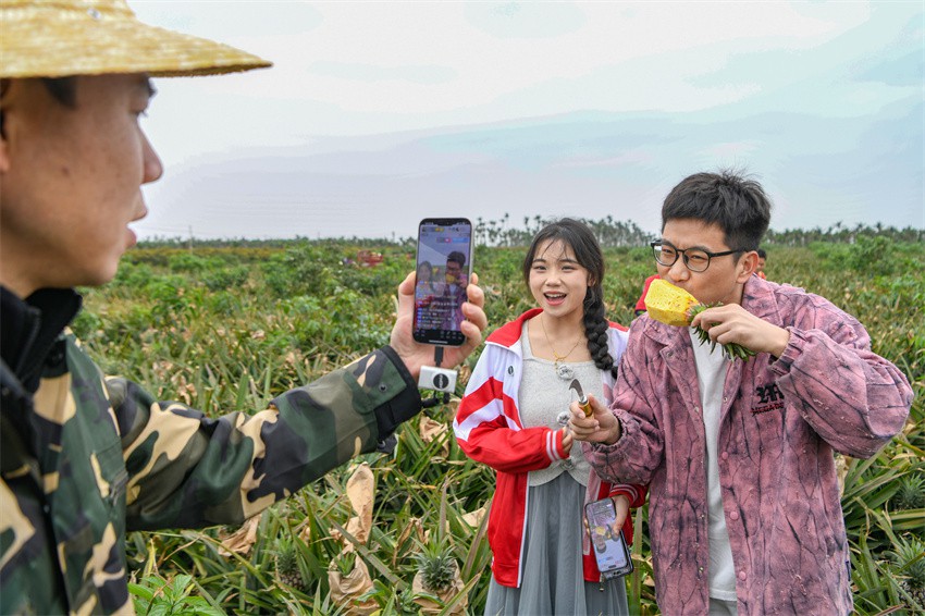 海口瓊山區三門坡鎮1.2萬畝「金寶貝」 年產值破億元