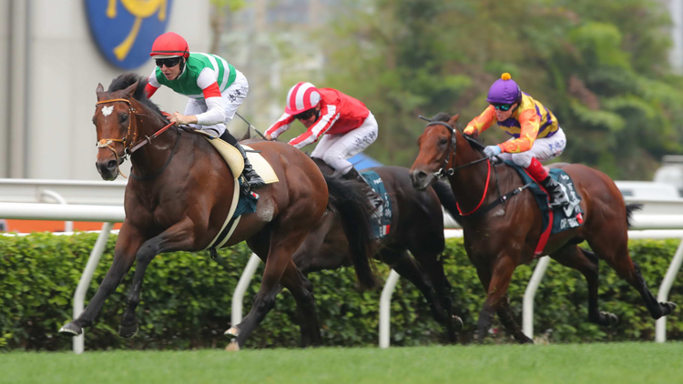 有片 | 鍵琴高奏勇奪女皇盃 堀宣行：料12月再來爭香港盃