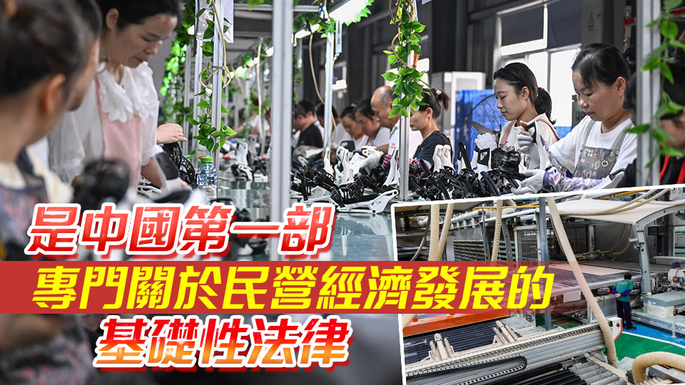 民營經濟促進法出台 5月20日起施行