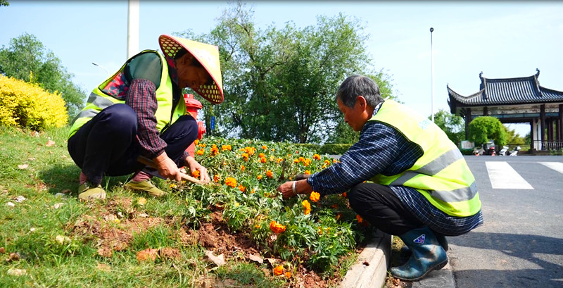 皖休寧縣：城市巧「梳妝」 「顏值」大提升