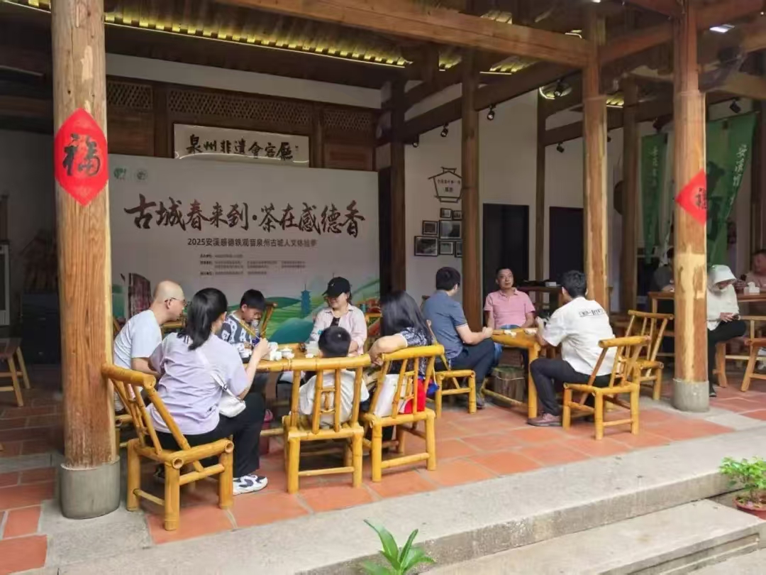 「古城春來到·茶在感德香」——2025安溪感德鐵觀音人文體驗季啟幕