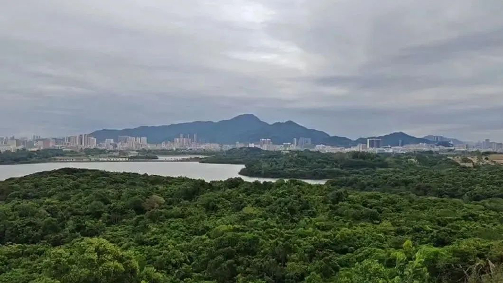 港深地名故事｜深圳·寶安石岩地理志：青草排