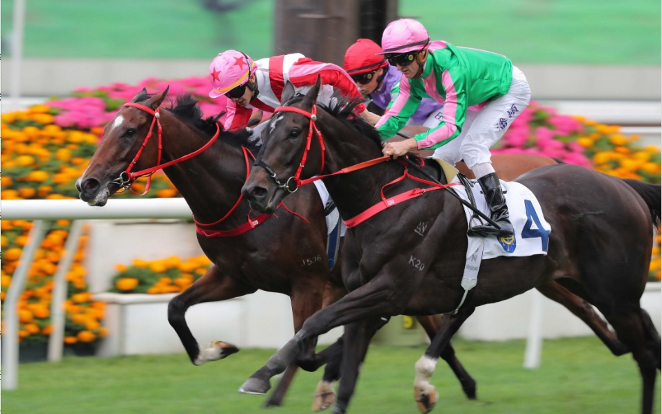 有片｜有目共賞勇奪皇太后紀念盃 告東尼在港騎練累積2500W