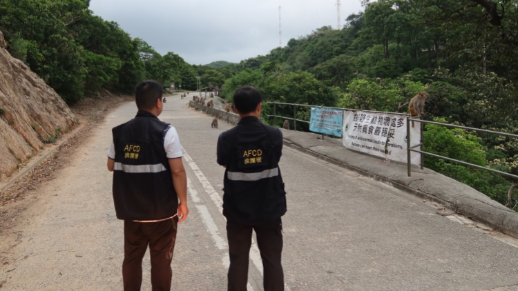 漁護署打擊非法餵飼 上月發17張定額罰款通知書