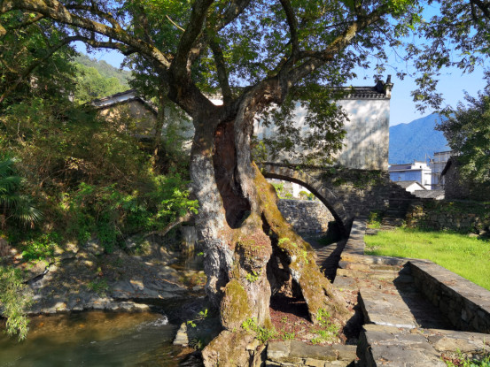 生態與人文交相輝映 皖黟縣宏潭佘溪創新運營解鎖「共富密碼」