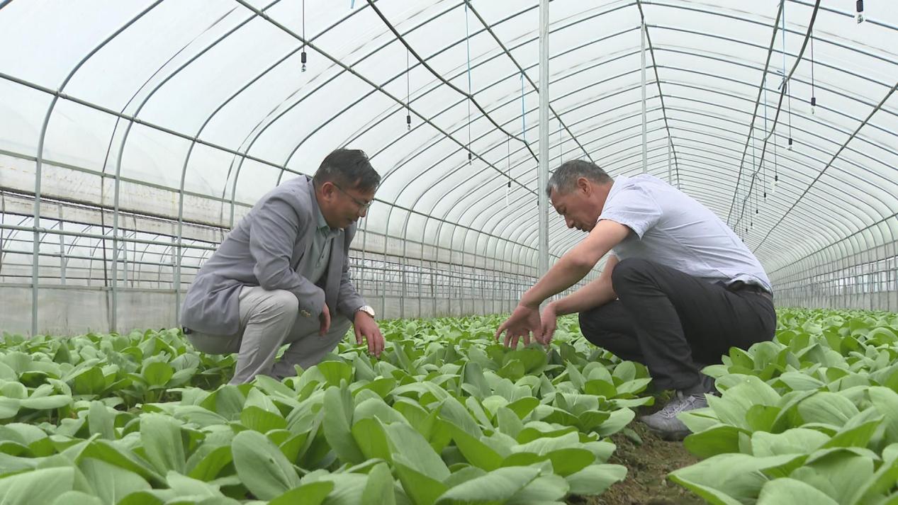 皖屯溪區：應對強降雨 拎穩「菜籃子」