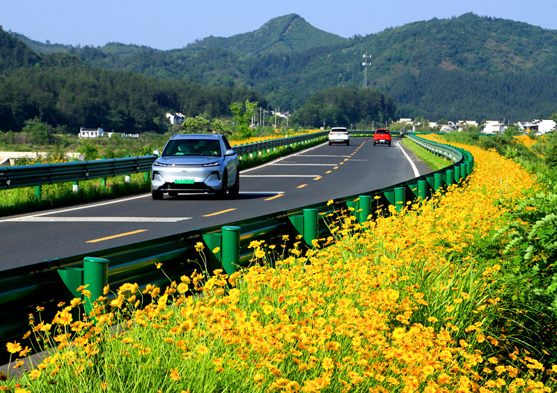 皖休寧縣：一路山水一路景