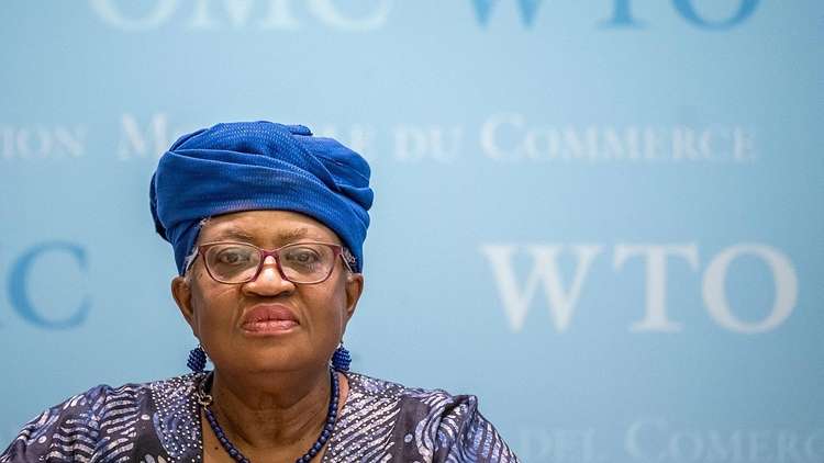 世貿組織歡迎中美經貿高層會談取得積極成果