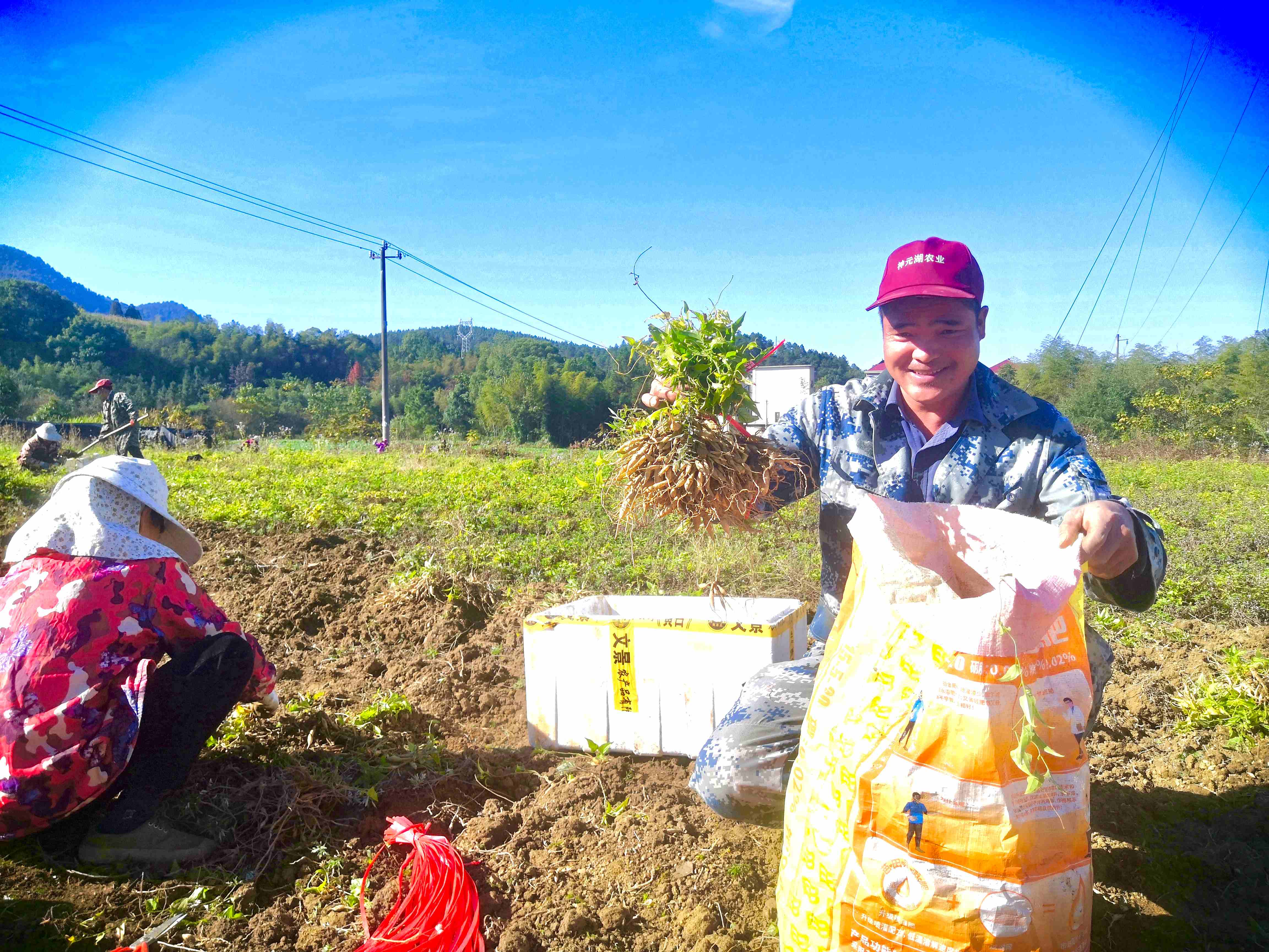 江西安福：深化集體林改 探索「綠富共贏」新路