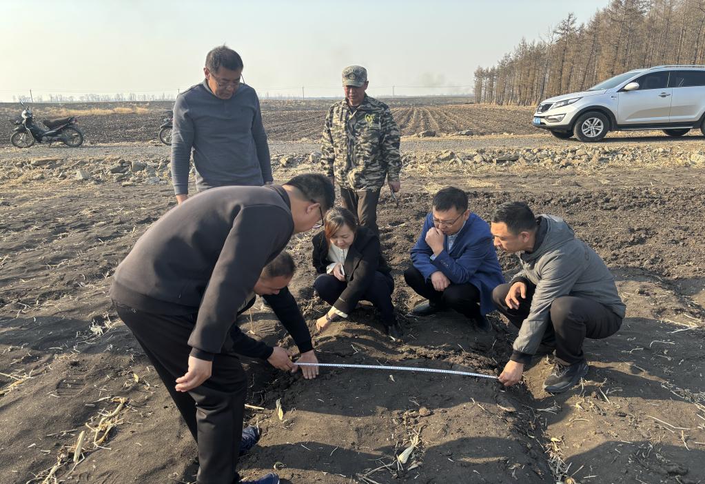 雙鴨山寶清縣：農技專家智援春耕促豐產