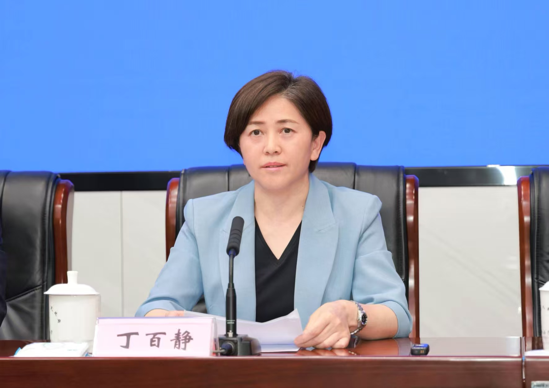 丁百靜：此刻的蕪湖正綻放着傳統與現代交織的獨特魅力