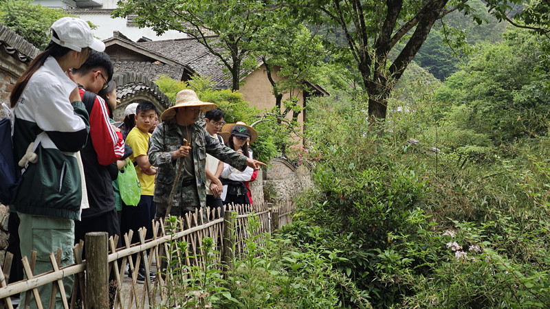獅城學子黃山腳下訪岐黃 皖黃山區打造中醫藥文化浸潤式課堂
