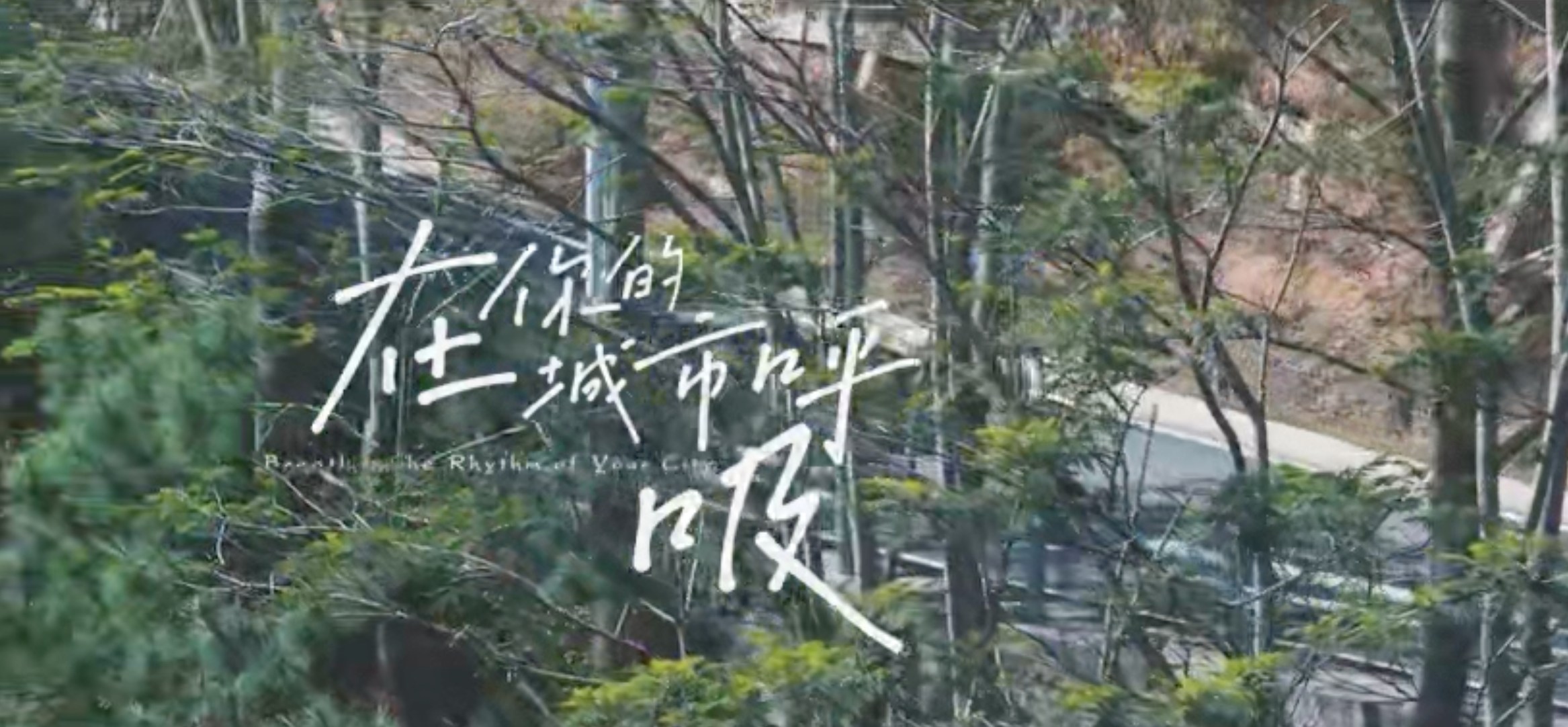 首屆廈門海滄區公園生活季短視頻大賽獲獎作品展播｜二等獎《在你的城市呼吸》