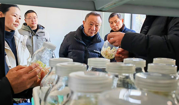 皖祁門縣：解鎖黃精產業的「標準密碼」